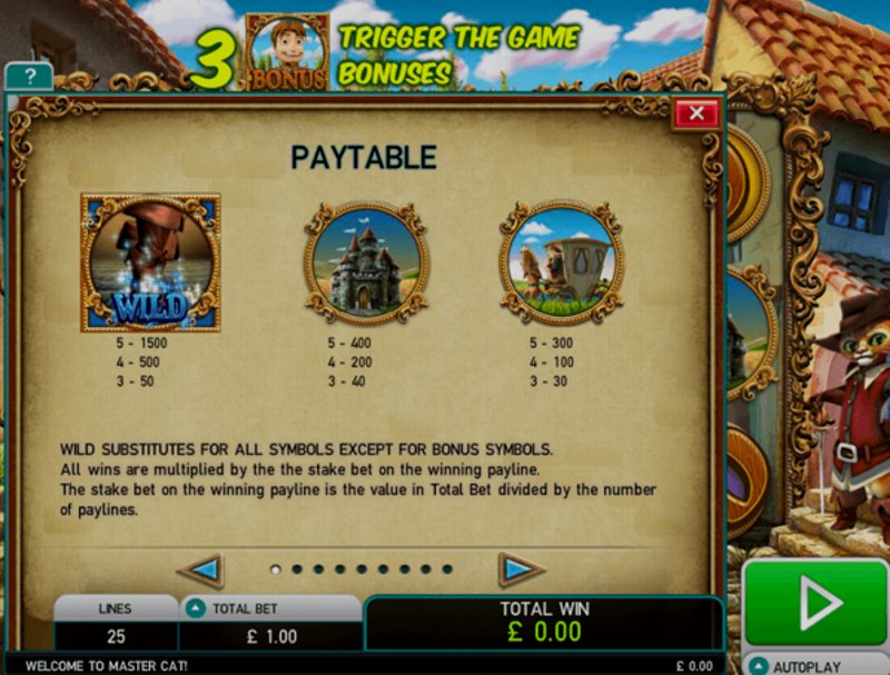 Играть The Master Cat от Kagaming в казино 1Win