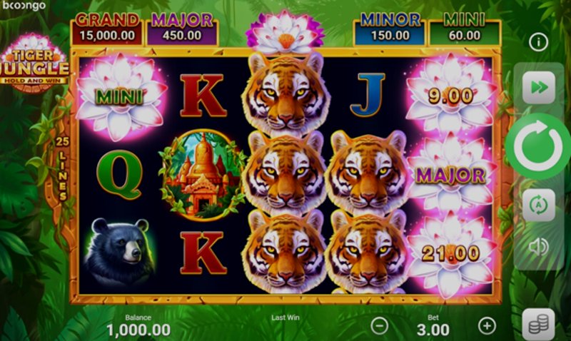 Играть Tiger Jungle от Booongo в казино 1Win