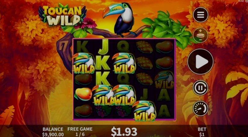 Играть Toucan Wild от Skywind в казино 1Win