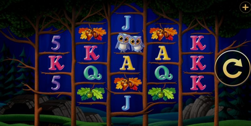 Играть Triple Hoot от High5 в казино 1Win