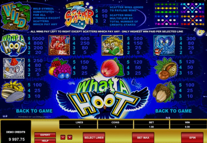Играть What A Hoot от Microgaming в казино 1Win