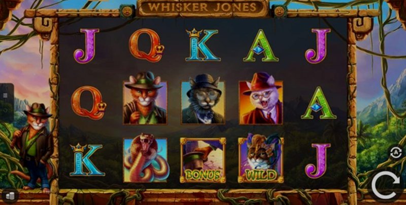 Играть Whisker Jones от 1x2gaming в казино 1Win