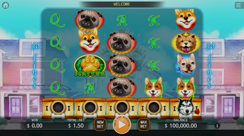 Играть Who Let the Dogs Out от Kagaming в казино 1Win