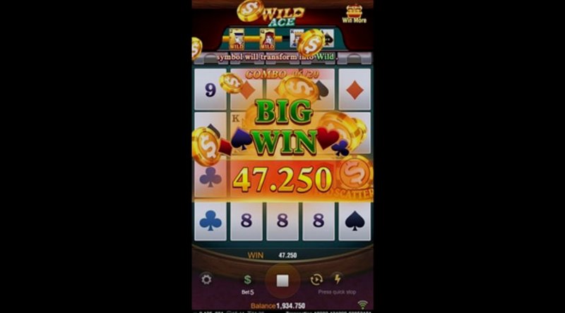 Играть Wild Ace от Tadagaming в казино 1Win