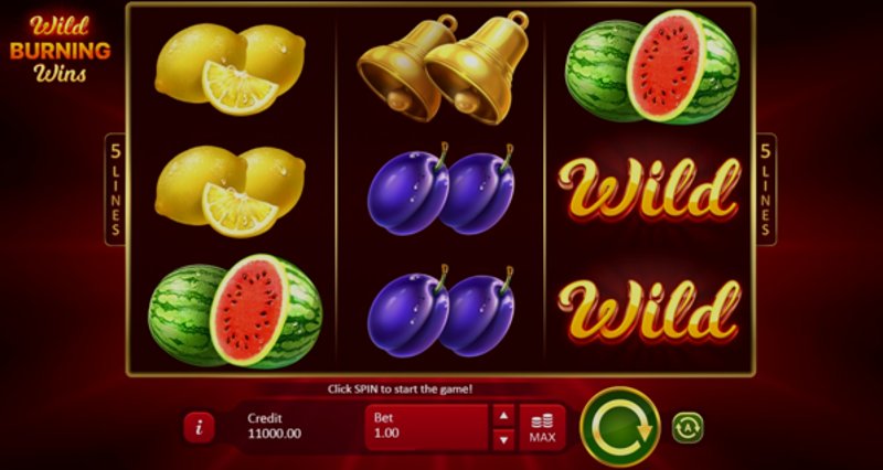 Играть Wild Burning Wins: 5 lines от Playson в казино 1Win