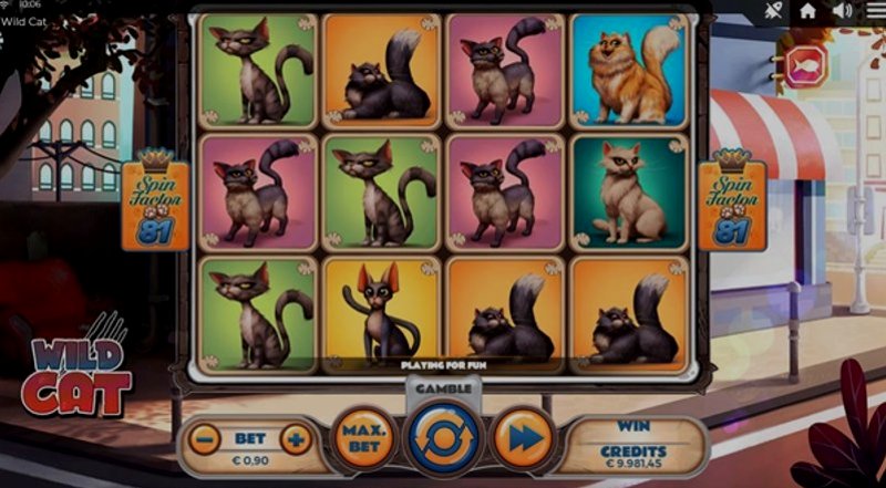 Играть Wild Cat от Spinmatic в казино 1Win