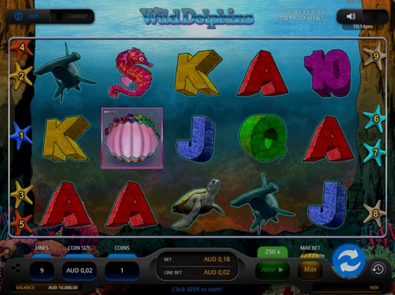 Играть Wild Dolphins от Oryx в казино 1Win
