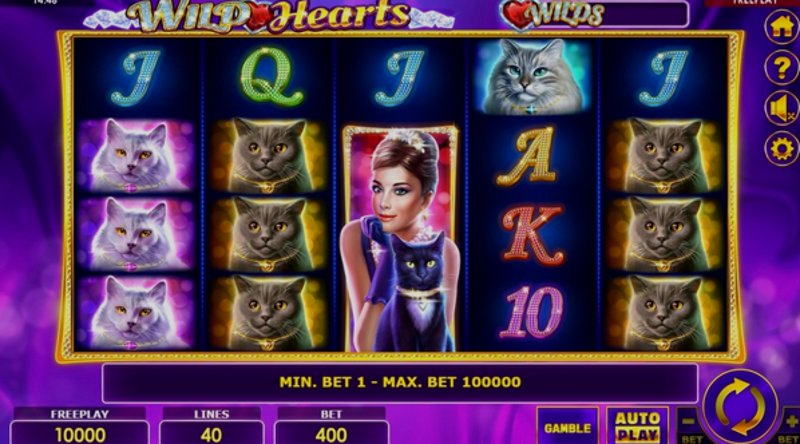 Wild Hearts Amatic в казино 1Win (1Вин) Wild Hearts Amatic в казино 1Win (1Вин)