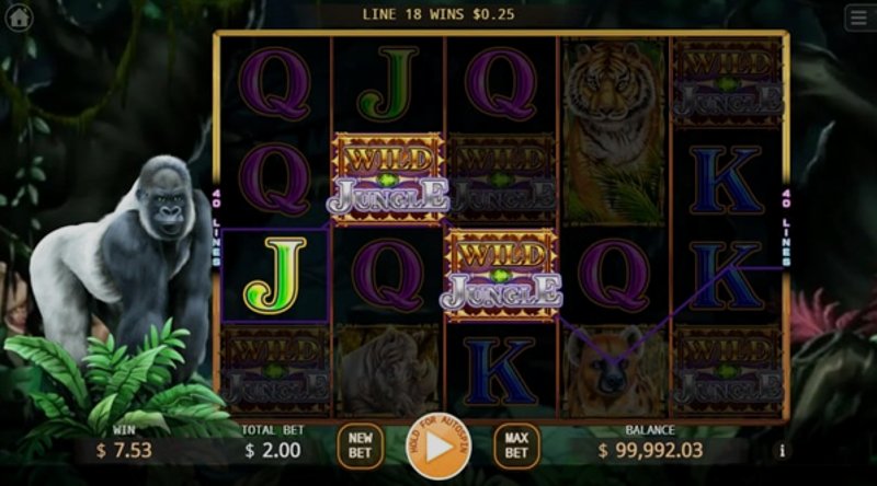 Играть Wild Jungle от Smartsoft в казино 1Win