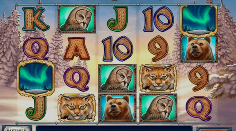 Играть Wild North от Playn Go в казино 1Win