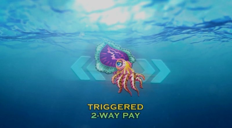 Играть Wild Ocean от Booming в казино 1Win