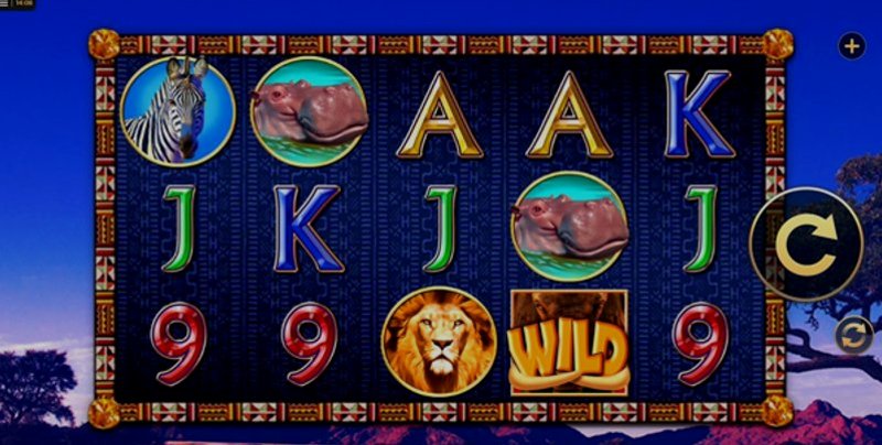 Играть Wild Tusks от High5 в казино 1Win