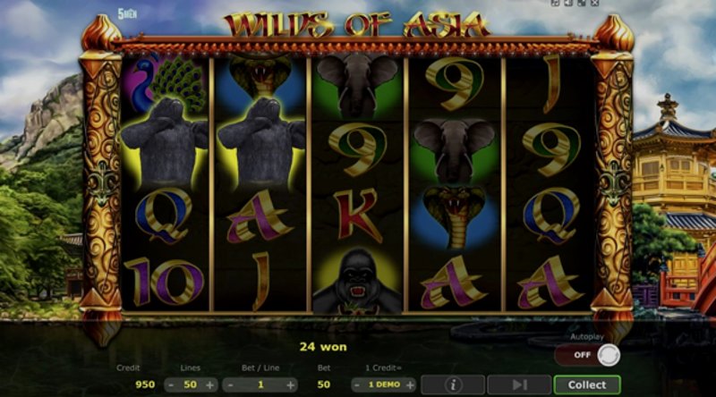 Играть Wilds of Asia от 5 Men Gaming в казино 1Win