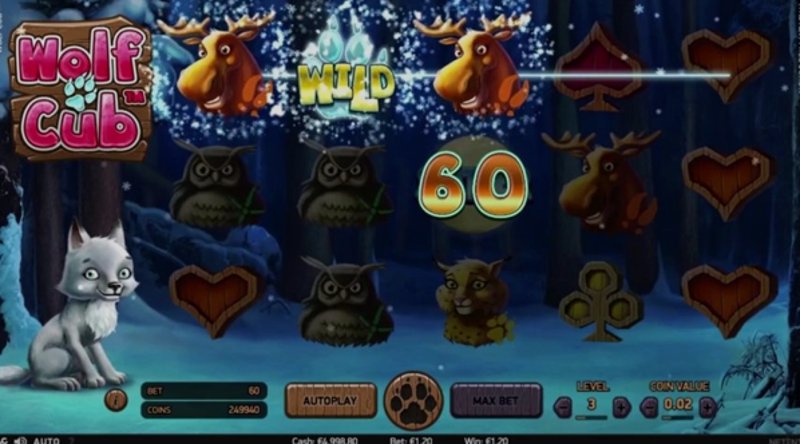 Wolf Cub NetEnt в казино 1Win (1Вин) Wolf Cub NetEnt в казино 1Win (1Вин)
