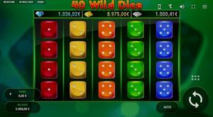 40 Wild Dice 1Win