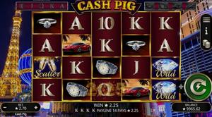 Cash Pig
