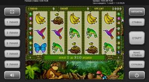 Crazy Monkey 2 1Win