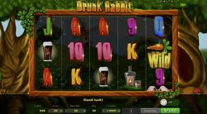 Drunk Rabbit 1Win