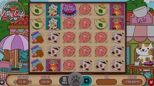 Kitty Cafe 1Win