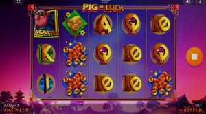 Pig Of Luck
