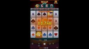 Wild Ace 1Win