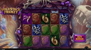 Wild Stack Frenzy