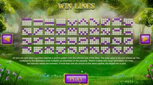 Winter Wonders 1Win