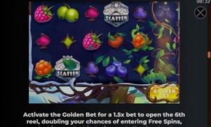 Winterberries 2 1Win